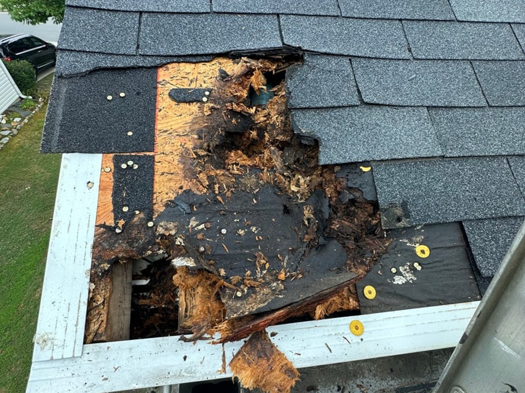 1035 Brighton Cove Trail Lawrenceville GA 30043 - Before