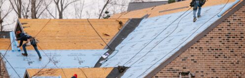 shingles