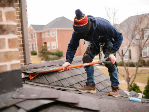 Digging up shingles sugar hill
