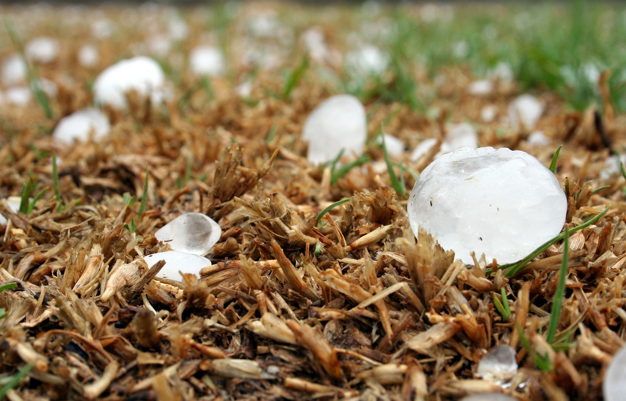 Hail Damage Roof