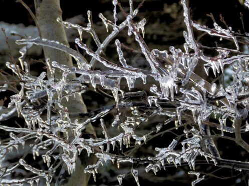 IS YOUR ROOF READY FOR THE FIRST ICE OF THE YEAR?