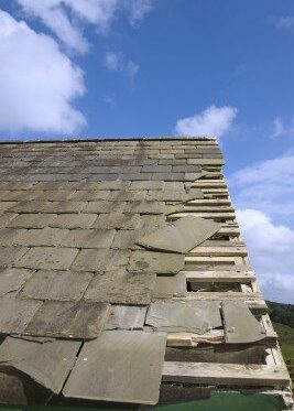 WHAT CAUSES A ROOF TO DETERIORATE?