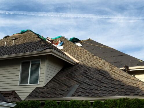 rotten roof